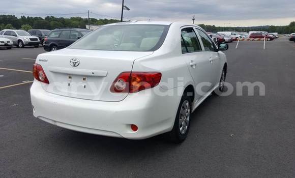 Buy Used Toyota Corolla White Car in Lusaka in Zambia Buy Used Toyota Corolla White Car in Lusaka in Zambia