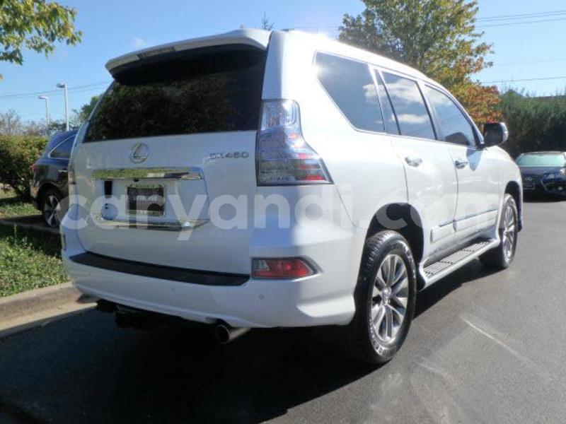 Big with watermark gx 450 2016