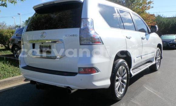 Buy New Toyota 4Runner White Car in Lusaka in Zambia Buy New Toyota 4Runner White Car in Lusaka in Zambia