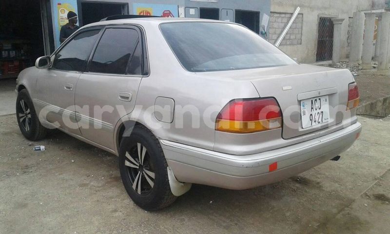 Big with watermark 18952779 709237862582138 3608237861038673941 n