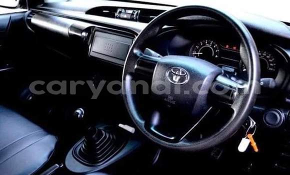 Tenga Tsaru Toyota Hilux Chena Mota in Livingstone in Zambia Tenga Tsaru Toyota Hilux Chena Mota in Livingstone in Zambia