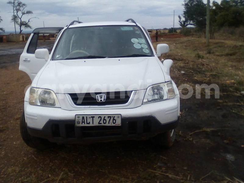 Big with watermark 18954797 10109901822210850 5806381462207131836 o