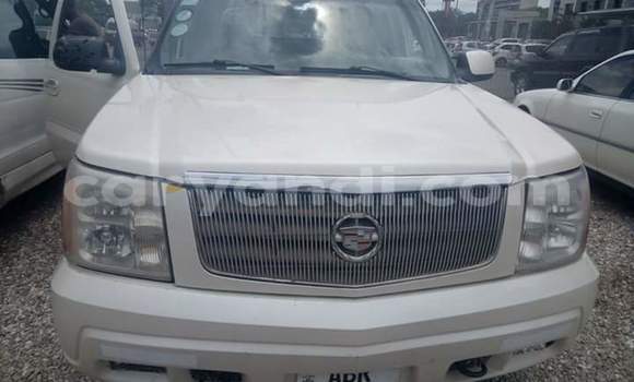 Buy Used Cadillac Escalade White Car in Lusaka in Zambia