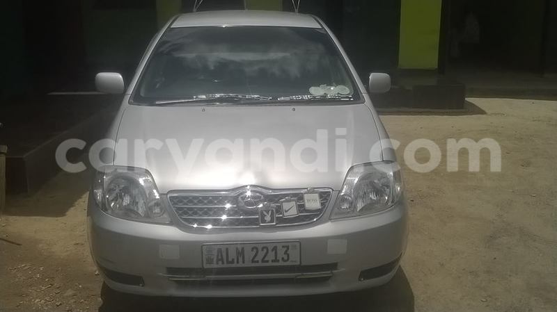 Big with watermark b3075d47e11c 12573183 943337752387372 8979424555854846037 n