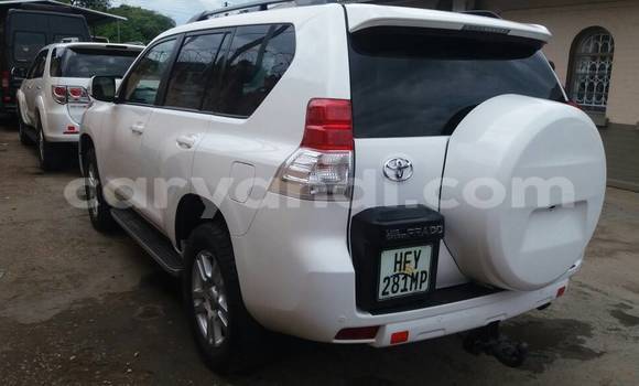 Buy Used Toyota Land Cruiser Prado White Car in Lusaka in Zambia Buy Used Toyota Land Cruiser Prado White Car in Lusaka in Zambia