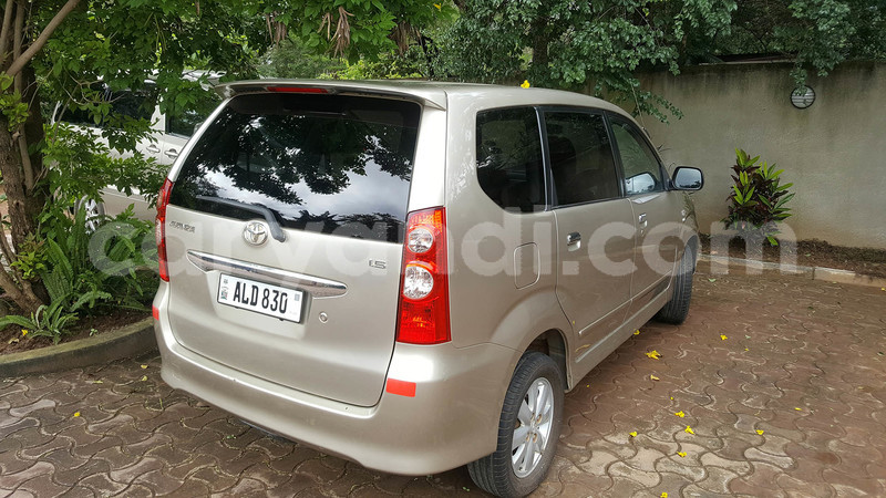 Big with watermark avanza 21