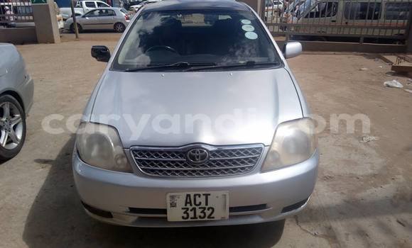 Tenga Tsaru Toyota Allex Sirivha Mota in Chipata in Zambia Tenga Tsaru Toyota Allex Sirivha Mota in Chipata in Zambia