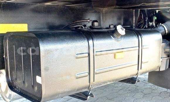 Tenga Tsaru Hino 300 Series Chena Rori in Lusaka in Zambia Tenga Tsaru Hino 300 Series Chena Rori in Lusaka in Zambia