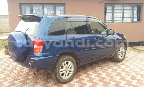 Buy Used Toyota RAV4 Blue Car in Chipata in Zambia Buy Used Toyota RAV4 Blue Car in Chipata in Zambia