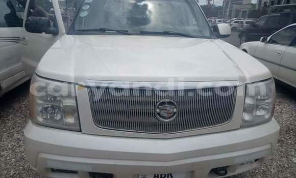 Buy Used Cadillac Escalade White Car in Lusaka in Zambia
