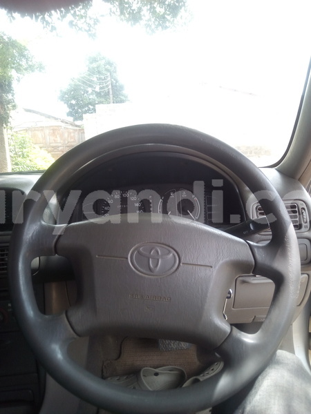 Big with watermark img 20160102 210312