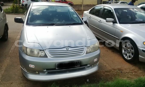 Buy Used Toyota Runx Silver Car in Chipata in Zambia Buy Used Toyota Runx Silver Car in Chipata in Zambia