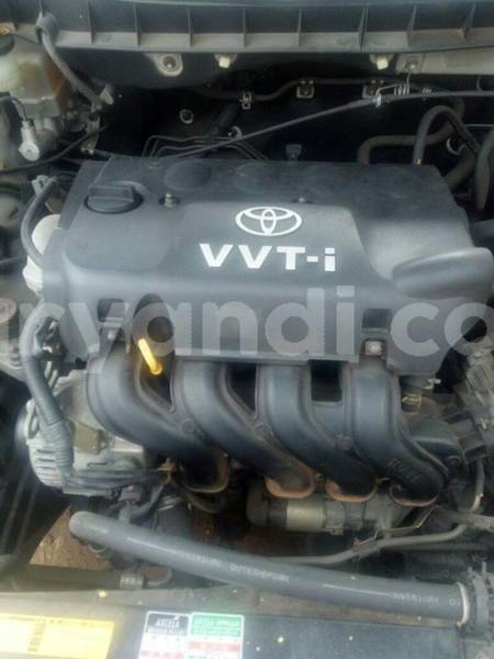 Big with watermark 25152125 1436706493124386 3988117729400250843 n