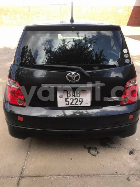 Big with watermark 24959109 1372679829509431 2290911251372580814 o