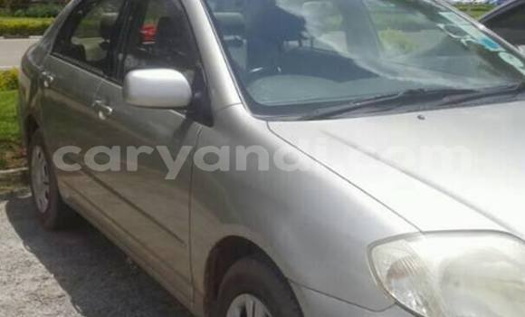 Tenga Tsaru Toyota Corolla Sirivha Mota in Chipata in Zambia Tenga Tsaru Toyota Corolla Sirivha Mota in Chipata in Zambia