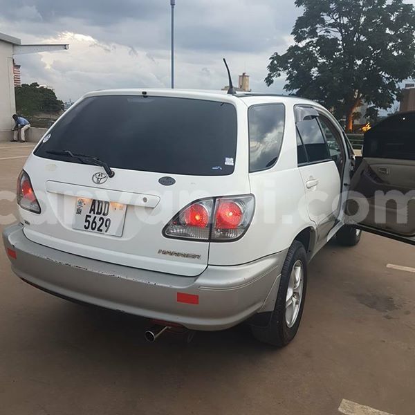 Big with watermark 25075045 1436706473124388 2663118157098388861 o