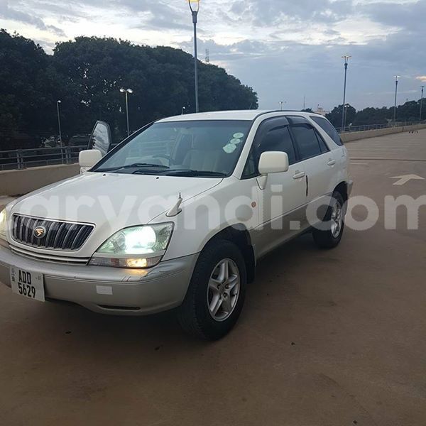 Big with watermark 24959109 1372679829509431 2290911251372580814 o