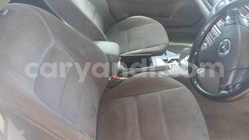 Big with watermark 25152125 1436706493124386 3988117729400250843 n