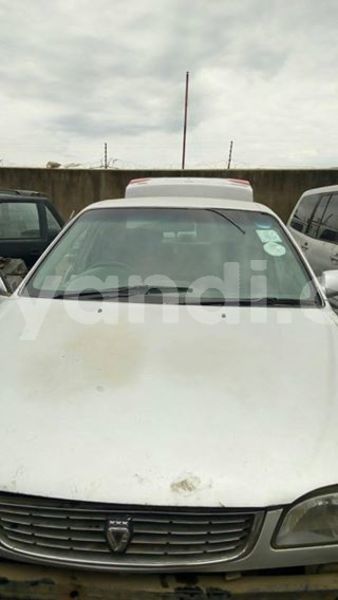 Big with watermark 25075045 1436706473124388 2663118157098388861 o