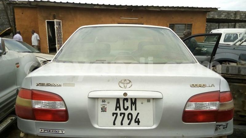 Big with watermark 24959109 1372679829509431 2290911251372580814 o