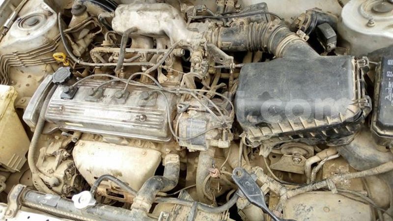 Big with watermark 25152125 1436706493124386 3988117729400250843 n