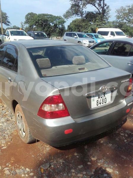 Big with watermark 24959109 1372679829509431 2290911251372580814 o