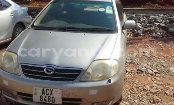 Buy Used Toyota Corolla Silver Car in Chipata in Zambia Buy Used Toyota Corolla Silver Car in Chipata in Zambia
