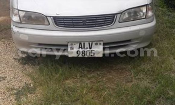 Buy Used Toyota Corolla Silver Car in Chipata in Zambia Buy Used Toyota Corolla Silver Car in Chipata in Zambia