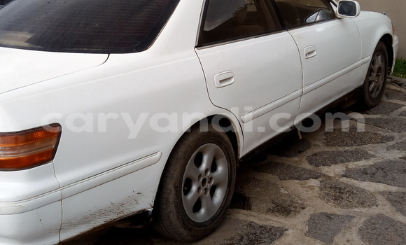 Buy Used Toyota MR2 White Car in Kitwe in Zambia Buy Used Toyota MR2 White Car in Kitwe in Zambia