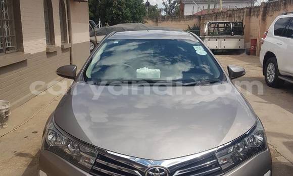 Buy Used Toyota Corolla Black Car in Lusaka in Zambia Buy Used Toyota Corolla Black Car in Lusaka in Zambia
