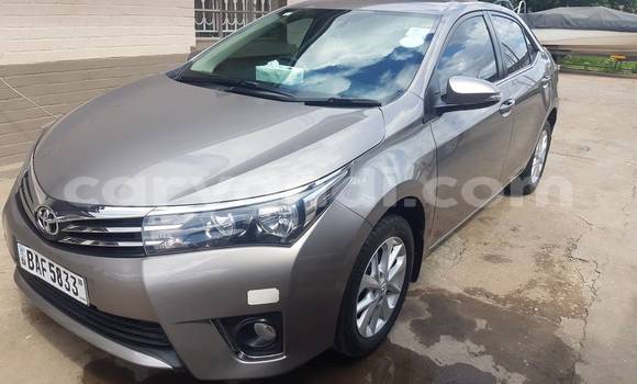 Buy Used Toyota Corolla Black Car in Lusaka in Zambia Buy Used Toyota Corolla Black Car in Lusaka in Zambia