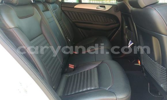 Tenga Tsaru Mercedes‒Benz GLE Sirivha Mota in Livingstone in Zambia Tenga Tsaru Mercedes‒Benz GLE Sirivha Mota in Livingstone in Zambia