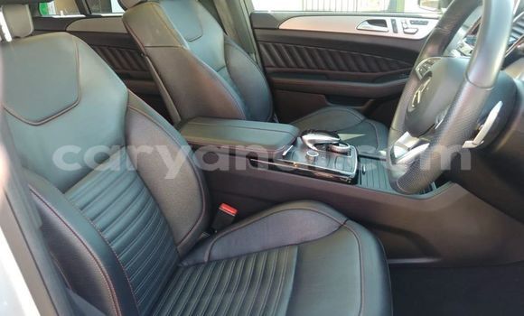 Tenga Tsaru Mercedes‒Benz GLE Sirivha Mota in Livingstone in Zambia Tenga Tsaru Mercedes‒Benz GLE Sirivha Mota in Livingstone in Zambia