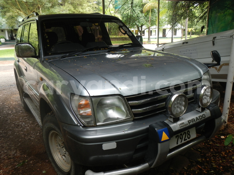 Big with watermark dscn2875