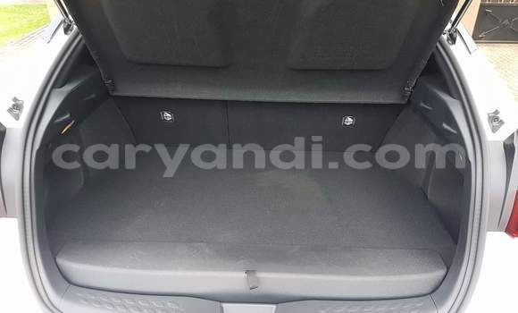 Tenga Tsaru Toyota C-HR Chena Mota in Lusaka in Zambia Tenga Tsaru Toyota C-HR Chena Mota in Lusaka in Zambia