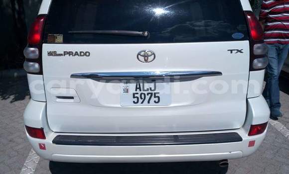 Tenga Tsaru Toyota Prado Chena Mota in Lusaka in Zambia Tenga Tsaru Toyota Prado Chena Mota in Lusaka in Zambia