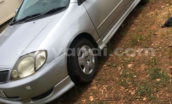 Buy Used Toyota Runx Silver Car in Lusaka in Zambia Buy Used Toyota Runx Silver Car in Lusaka in Zambia