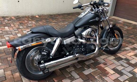 Acheter Occasion Moto Harley Davidson Dyna Noir à Lusaka, Zambie Acheter Occasion Moto Harley Davidson Dyna Noir à Lusaka, Zambie