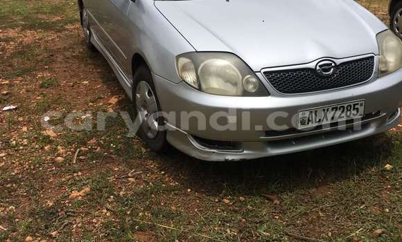 Acheter Occasion Voiture Toyota Runx Gris à Lusaka, Zambie Acheter Occasion Voiture Toyota Runx Gris à Lusaka, Zambie