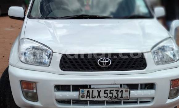 Buy Used Toyota RAV4 White Car in Lusaka in Zambia Buy Used Toyota RAV4 White Car in Lusaka in Zambia