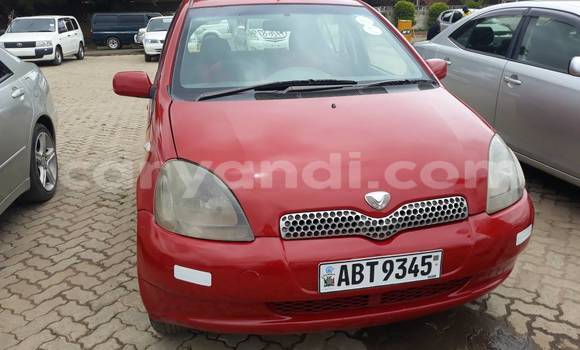 Buy Used Toyota Vitz Red Car in Lusaka in Zambia Buy Used Toyota Vitz Red Car in Lusaka in Zambia