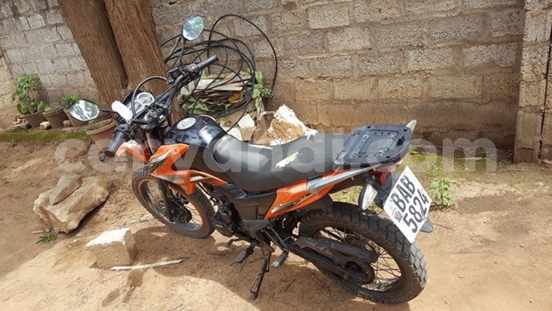 Big with watermark 27629335 1724050174304506 5848666617310732358 o