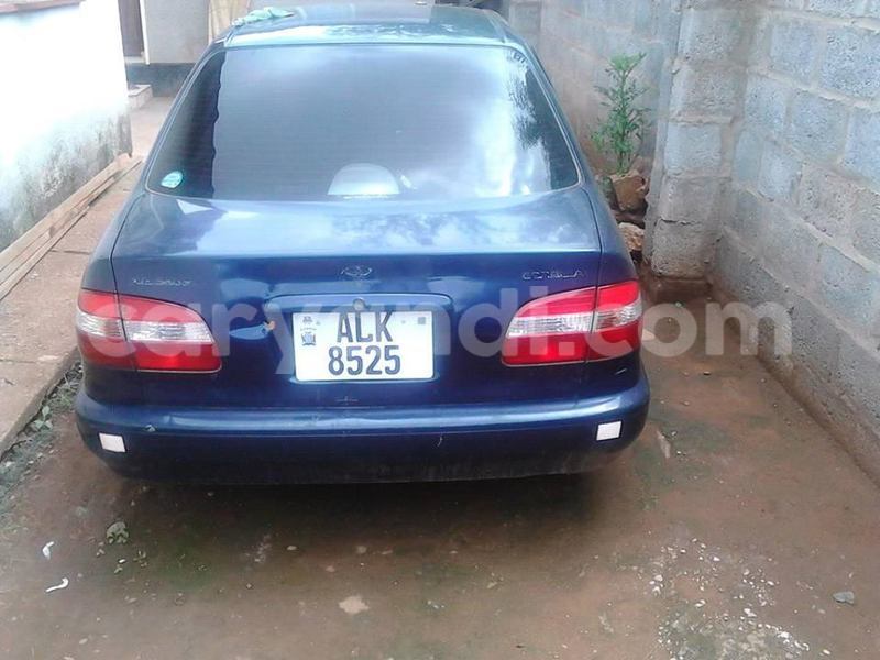 Big with watermark 011ba8f2a7f5 12439297 458519671007430 4910279386035803776 n