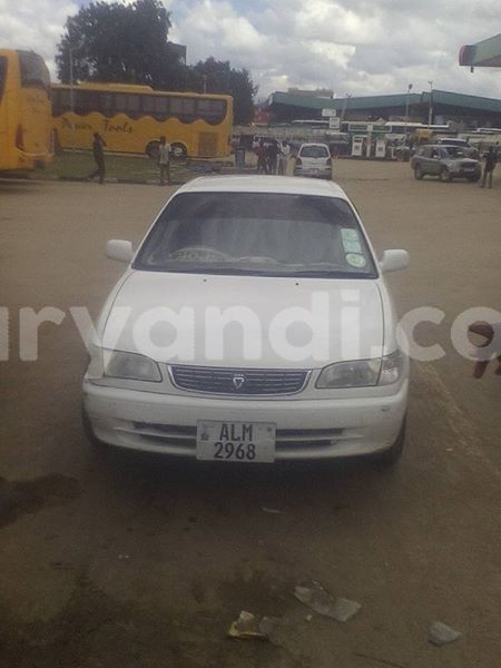 Big with watermark 24959109 1372679829509431 2290911251372580814 o