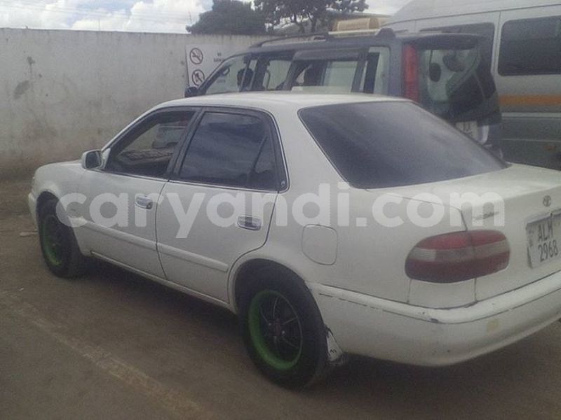 Big with watermark 25075045 1436706473124388 2663118157098388861 o