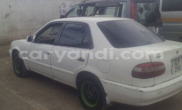 Buy Used Toyota Corolla White Car in Lusaka in Zambia Buy Used Toyota Corolla White Car in Lusaka in Zambia