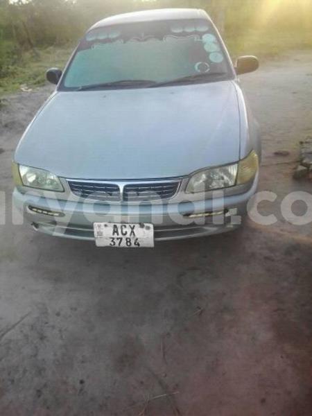 Big with watermark 24959109 1372679829509431 2290911251372580814 o