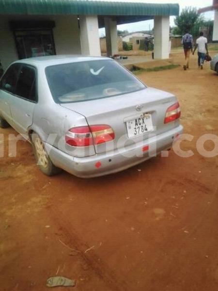 Big with watermark 25075045 1436706473124388 2663118157098388861 o