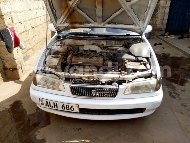 Big with watermark 24959109 1372679829509431 2290911251372580814 o