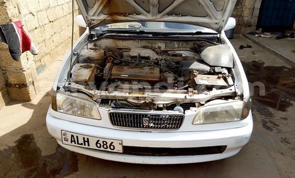 Buy Used Toyota Corolla White Car in Lusaka in Zambia Buy Used Toyota Corolla White Car in Lusaka in Zambia